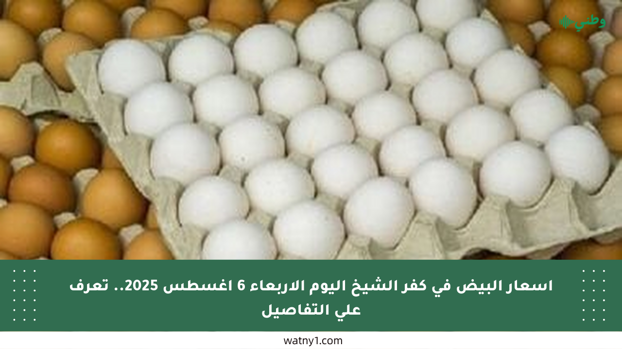 أسعار البيض في كفر الشيخ اليوم الأربعاء 6 أغسطس 2025.. تعرف على التفاصيل